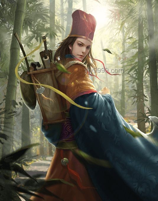 《三国杀》中野史武将“华雌”的案例研究
